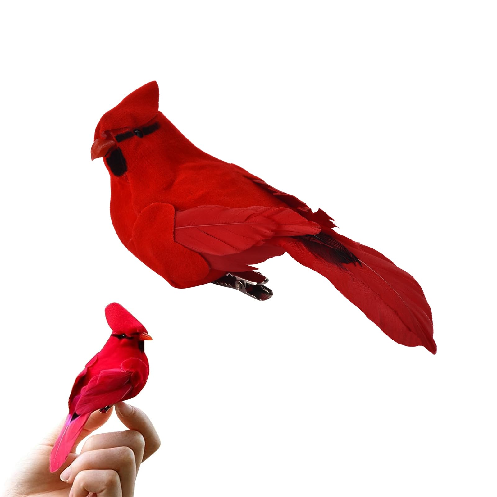 Amazon.com: Ciarain Artificial Feathered Cardinal Birds Ornament